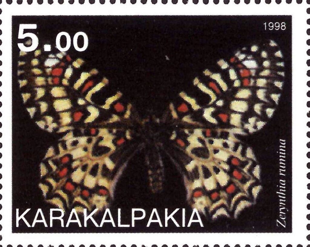 Zerynthia rumina