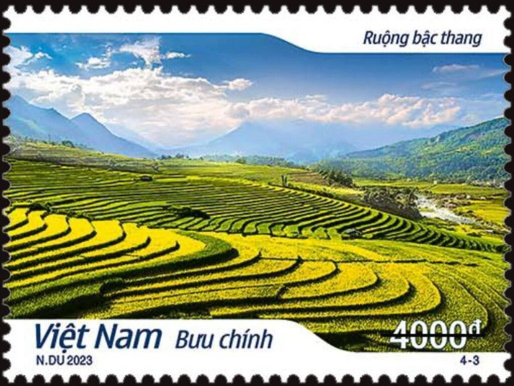 Rice Paddies of Vietnam