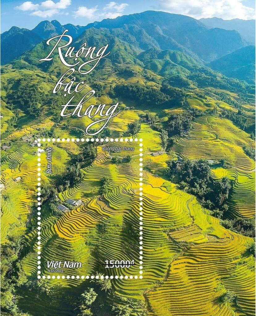 Rice Paddies of Vietnam