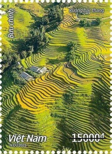 Rice Paddies of Vietnam
