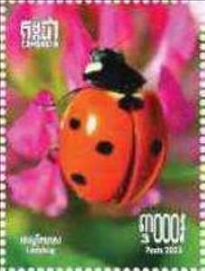 Stamp, Propylea quatuordecimpunctata, Cambodia,  , Insects