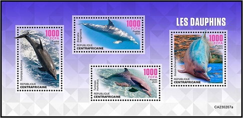 Dolphins