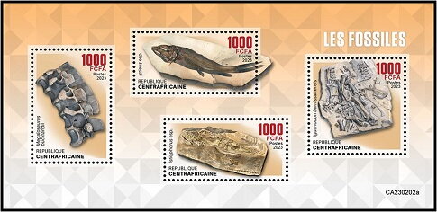 Fossils