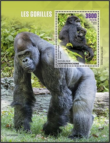 Gorilla beringei beringei