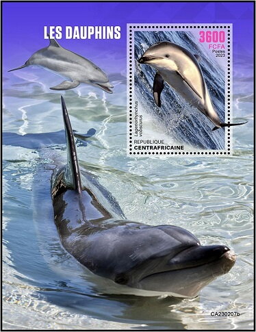 Lagenorhynchus vobscurus