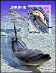 Souvenir Sheet, Lagenorhynchus vobscurus, Central African Republic,  , Dolphins, Sea Life