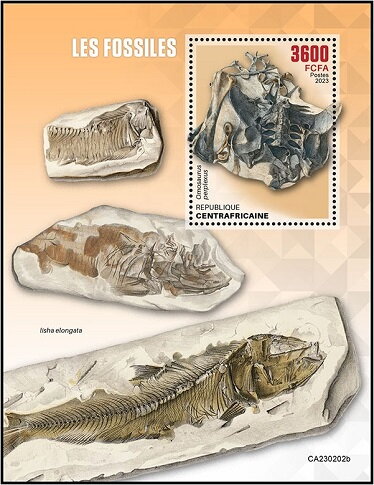 Omosaurus perplexus