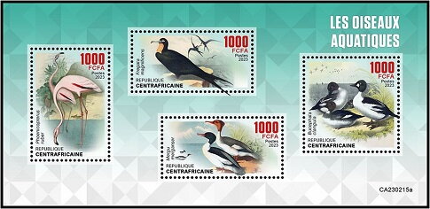 Water Birds