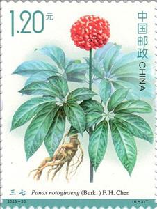 Stamp, Ginseng (Panax notoginseng), China, People's Republic,  , Plants (Flora)