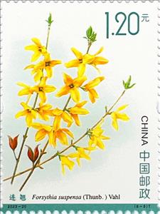 Stamp, Weeping Forsythia (Forsythia suspensa), China, People's Republic,  , Plants (Flora)