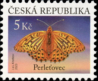 Silver-Washed Fritillary (Argynnis paphia)