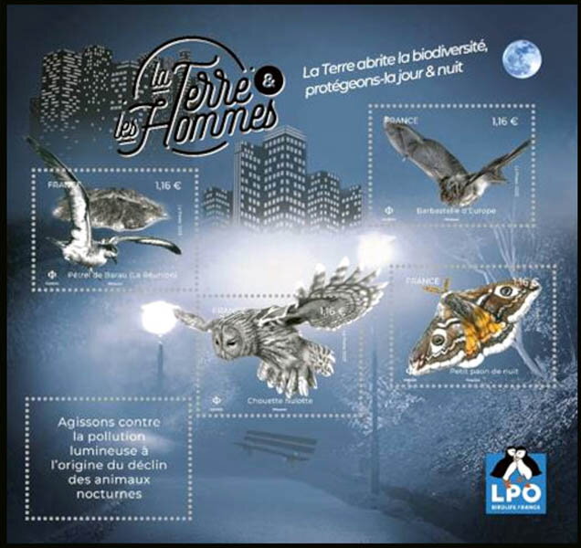 Biodiversity : Protect It Day And Night
