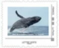 Stamp, Biodiversity in Reunion 2. Humpback whale leap, France,  , Animals (Fauna), Islands, Whales
