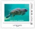 Biodiversity in Reunion 2. Sea Turtle
