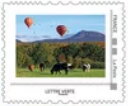 Championnat de France du Montgolfieres. Balloons above cows