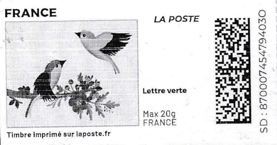 Spring. Birds Nesting. White Background. Redesign no logo