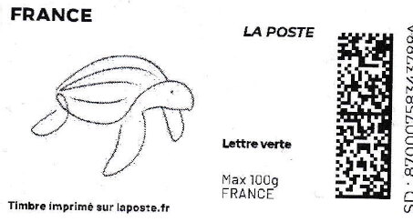 Turtle. Redesign without laposte logo