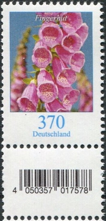 Foxgloves (Digitalis)