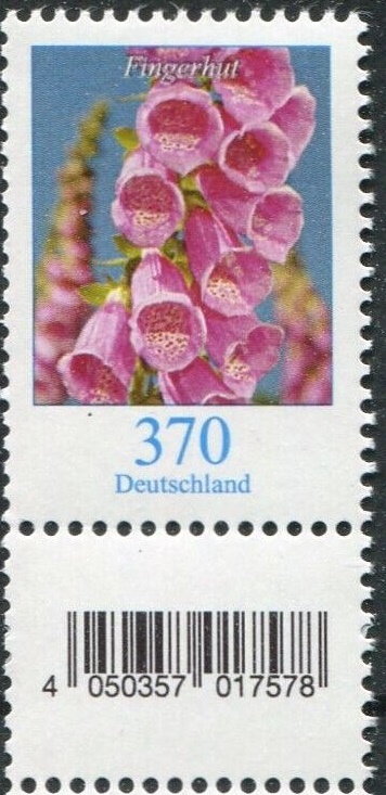 Foxgloves (Digitalis)