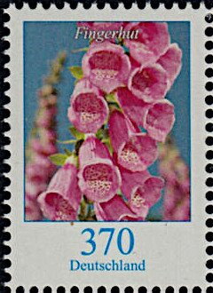 Foxgloves (Digitalis)