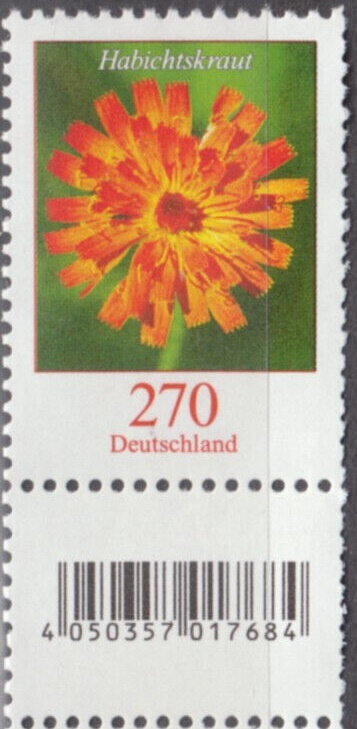 Hawkweed (Pilosella aurantiaca)
