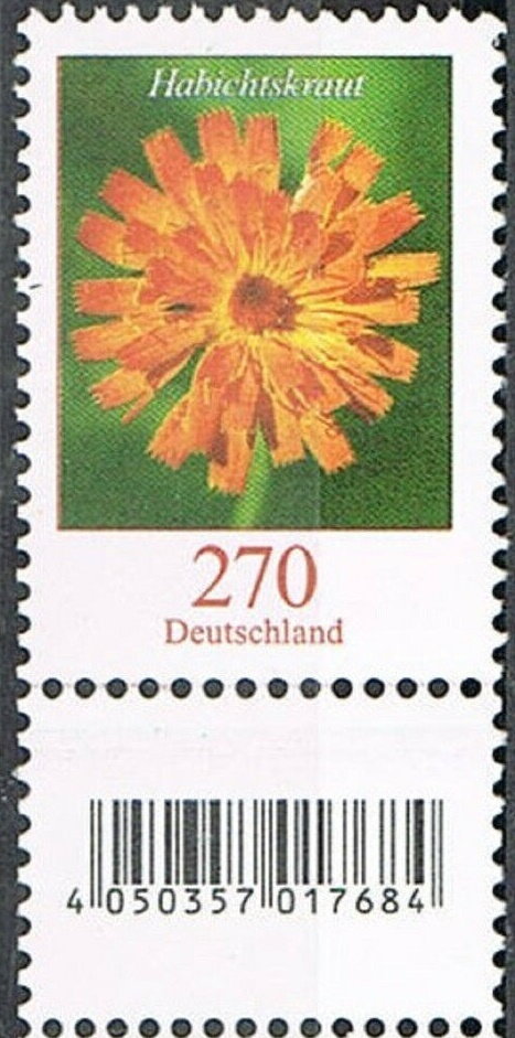 Hawkweed (Pilosella aurantiaca)