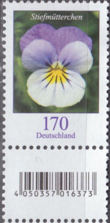 Pansy (Viola tricolor var. hortensis)