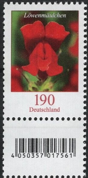 Snapdragon (Antirrhinum majus)