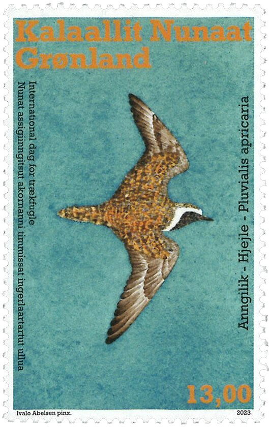 International Migratory Bird Day : Pluvialis apricaria