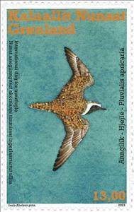 Stamp, International Migratory Bird Day : Pluvialis apricaria, Greenland,  , Animals (Fauna), Birds