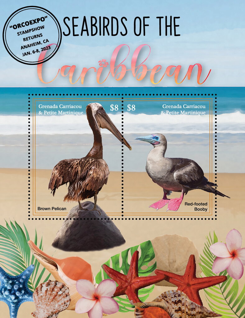 Brown Pelican - Red-footed Boody