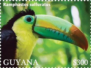 Keel-Billed Toucan