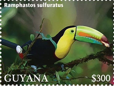 Keel-Billed Toucan