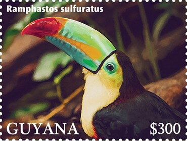 Keel-Billed Toucan