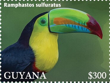 Keel-Billed Toucan