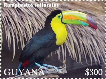 Keel-Billed Toucan