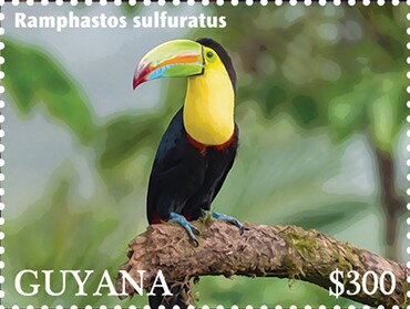 Keel-Billed Toucan