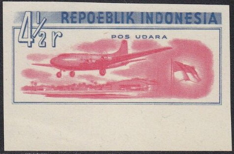 Airplane and flag