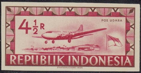 Airplane and flag
