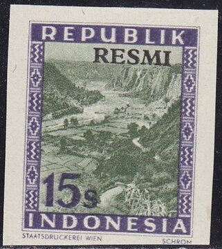 Overpint RESMI