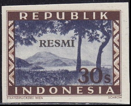 Overpint RESMI