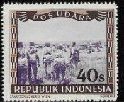 Posudara - Pilots