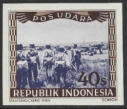 Posudara - Pilots
