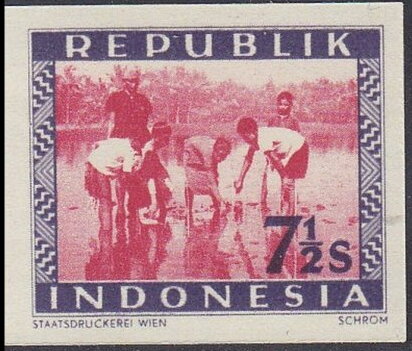 Rice planting
