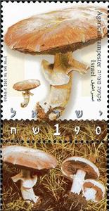 Stamp with Collectible Margin, Agaricus campester, Israel,  , Mushrooms