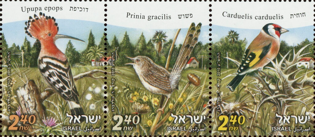 Birds of Israel