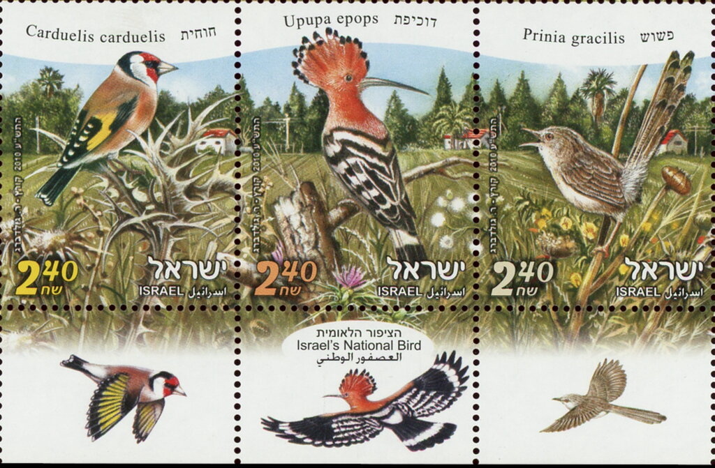 Birds of Israel