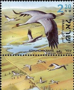 Stamp with Collectible Margin, Common crane (Grus grus), Israel,  , Animals (Fauna), Birds, Cranes (Birds)