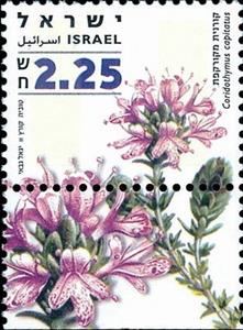 Stamp with Collectible Margin, Coridothymus capitatus, Israel,  , Flowers, Plants (Flora)
