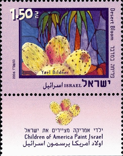 Desert Bloom, by Yael Bildner